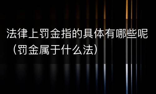 法律上罚金指的具体有哪些呢（罚金属于什么法）