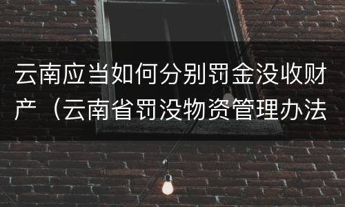 云南应当如何分别罚金没收财产（云南省罚没物资管理办法）