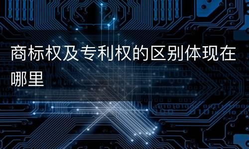商标权及专利权的区别体现在哪里