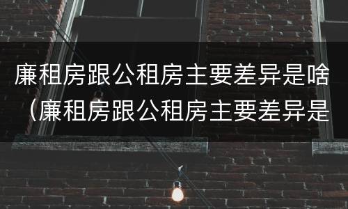 廉租房跟公租房主要差异是啥（廉租房跟公租房主要差异是啥意思）