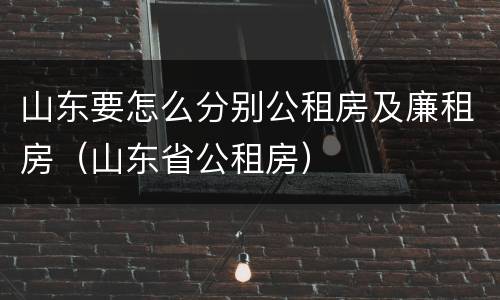 山东要怎么分别公租房及廉租房（山东省公租房）