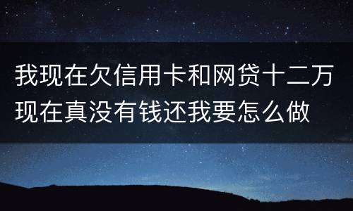 我现在欠信用卡和网贷十二万现在真没有钱还我要怎么做