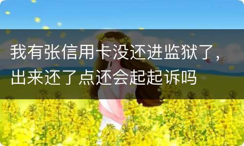 我有张信用卡没还进监狱了，出来还了点还会起起诉吗