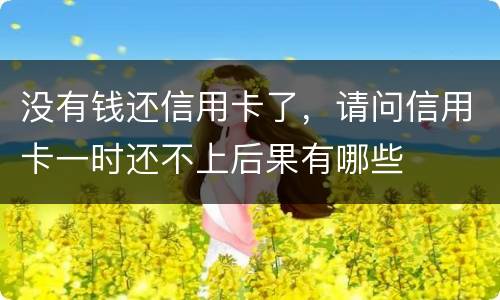 没有钱还信用卡了，请问信用卡一时还不上后果有哪些