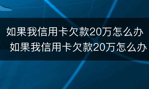如果我信用卡欠款20万怎么办 如果我信用卡欠款20万怎么办理