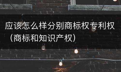 应该怎么样分别商标权专利权（商标和知识产权）