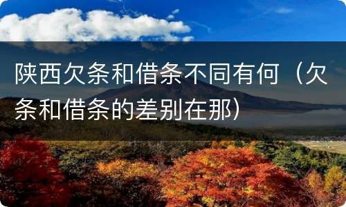 陕西欠条和借条不同有何（欠条和借条的差别在那）