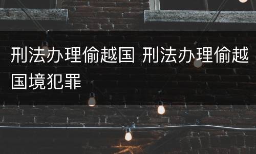 刑法办理偷越国 刑法办理偷越国境犯罪
