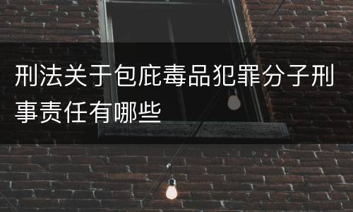 刑法关于包庇毒品犯罪分子刑事责任有哪些