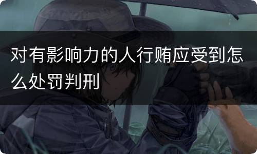 对有影响力的人行贿应受到怎么处罚判刑