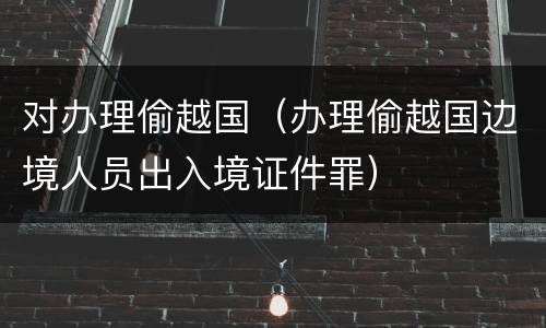 对办理偷越国（办理偷越国边境人员出入境证件罪）