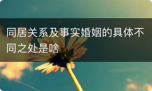 同居关系及事实婚姻的具体不同之处是啥
