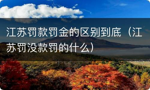 江苏罚款罚金的区别到底（江苏罚没款罚的什么）