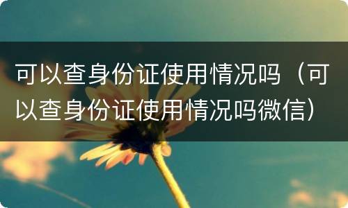 可以查身份证使用情况吗（可以查身份证使用情况吗微信）