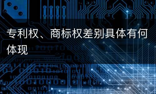 专利权、商标权差别具体有何体现