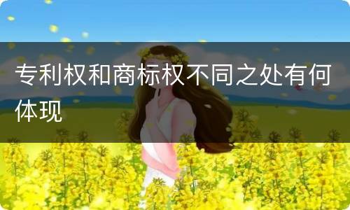 专利权和商标权不同之处有何体现
