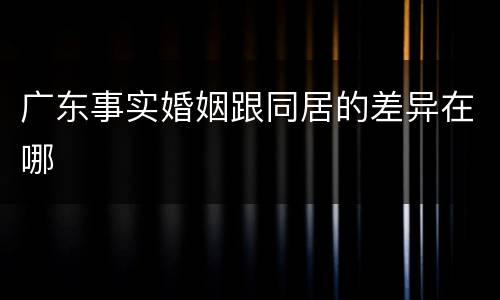 广东事实婚姻跟同居的差异在哪