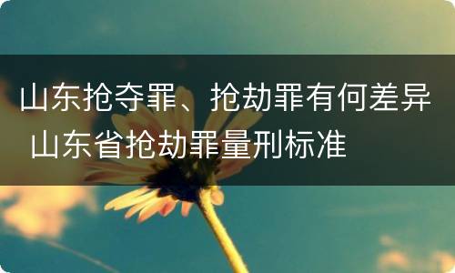 山东抢夺罪、抢劫罪有何差异 山东省抢劫罪量刑标准