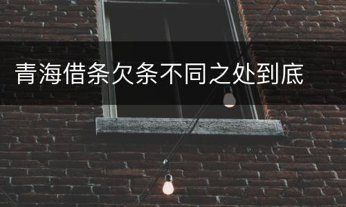 青海借条欠条不同之处到底