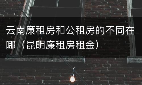 云南廉租房和公租房的不同在哪（昆明廉租房租金）