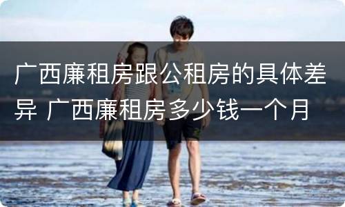 广西廉租房跟公租房的具体差异 广西廉租房多少钱一个月