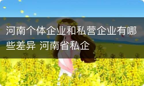 河南个体企业和私营企业有哪些差异 河南省私企