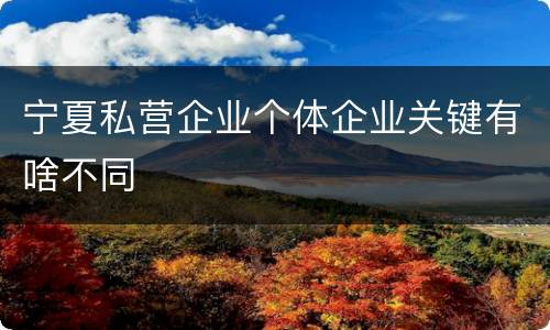 宁夏私营企业个体企业关键有啥不同
