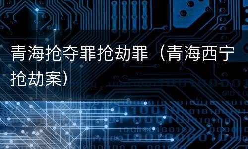 青海抢夺罪抢劫罪（青海西宁抢劫案）