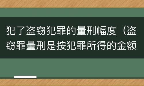 犯了盗窃犯罪的量刑幅度（盗窃罪量刑是按犯罪所得的金额量刑吗）