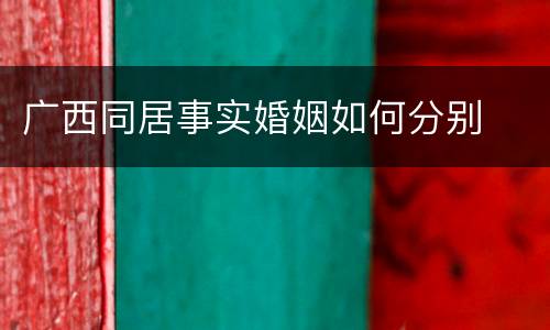 广西同居事实婚姻如何分别