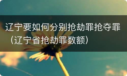 辽宁要如何分别抢劫罪抢夺罪（辽宁省抢劫罪数额）