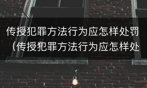传授犯罪方法行为应怎样处罚（传授犯罪方法行为应怎样处罚呢）