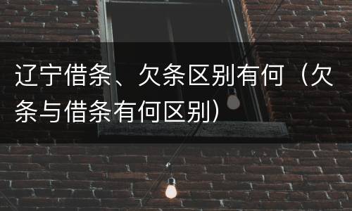 辽宁借条、欠条区别有何（欠条与借条有何区别）