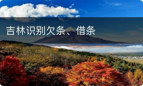 吉林识别欠条、借条