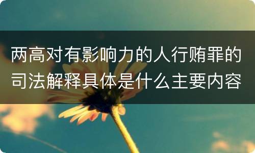 两高对有影响力的人行贿罪的司法解释具体是什么主要内容