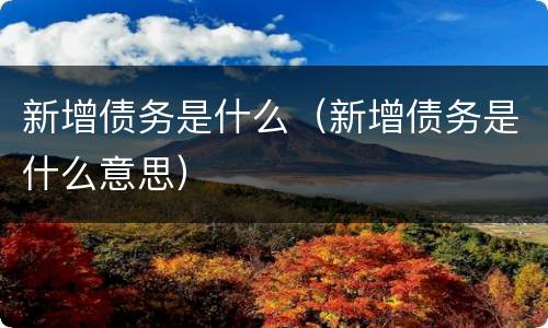 新增债务是什么（新增债务是什么意思）