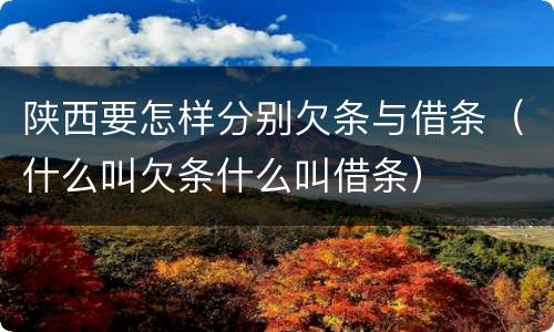 陕西要怎样分别欠条与借条（什么叫欠条什么叫借条）