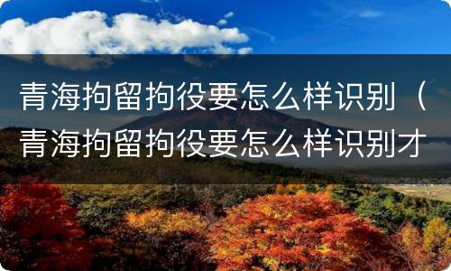 青海拘留拘役要怎么样识别（青海拘留拘役要怎么样识别才能执行）