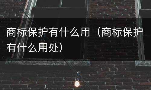商标保护有什么用（商标保护有什么用处）