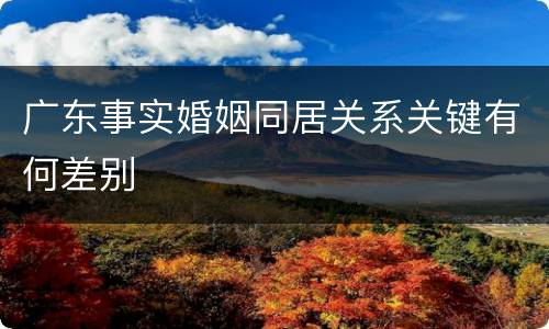 广东事实婚姻同居关系关键有何差别