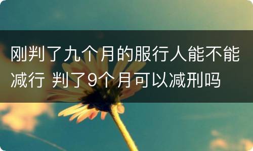 刚判了九个月的服行人能不能减行 判了9个月可以减刑吗