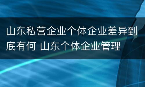 山东私营企业个体企业差异到底有何 山东个体企业管理