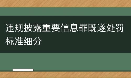 违规披露重要信息罪既遂处罚标准细分