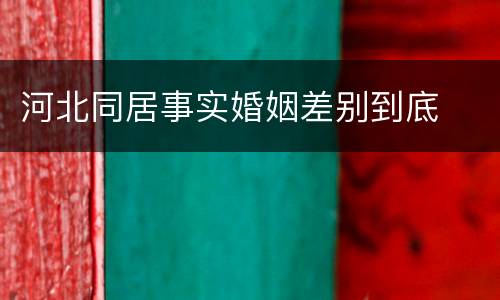 河北同居事实婚姻差别到底