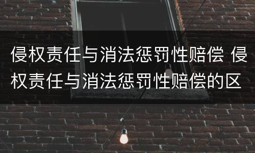 侵权责任与消法惩罚性赔偿 侵权责任与消法惩罚性赔偿的区别