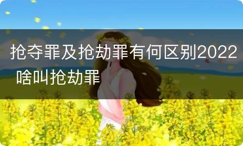 抢夺罪及抢劫罪有何区别2022 啥叫抢劫罪