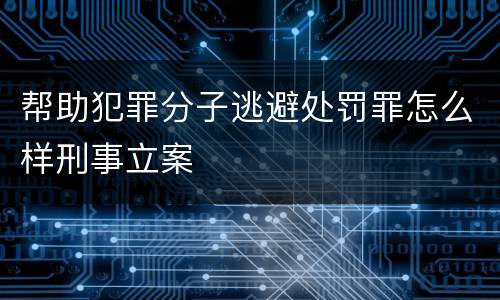 帮助犯罪分子逃避处罚罪怎么样刑事立案