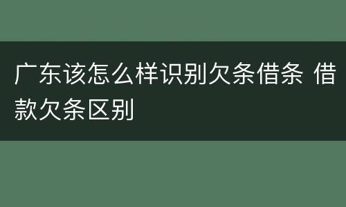 广东该怎么样识别欠条借条 借款欠条区别