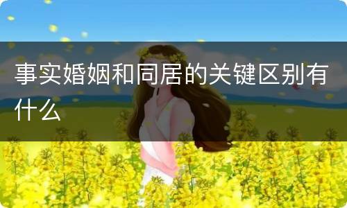 事实婚姻和同居的关键区别有什么