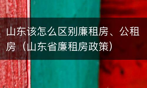 山东该怎么区别廉租房、公租房（山东省廉租房政策）